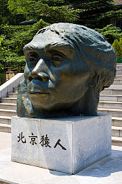 三浦惠理子与义子伦理：三浦惠理子义子伦理风波：娱乐圈伦理道德再引热议