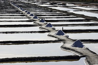 黄色软件下载3.0.3每天无限免费大全：畅游游戏海洋，尽享无限免费资源——黄色软件下载3.0.3每日盛宴-2