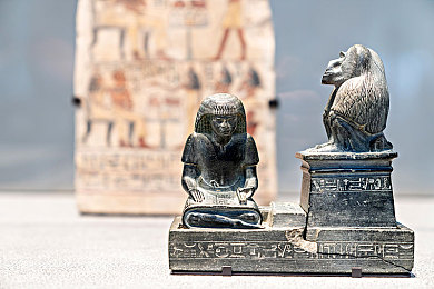 红豆视频在线观看日本动漫,网络视频平台红豆视频助力动漫文化热潮兴起