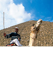 羞羞漫画。在线登录免费观看,畅享欢笑，畅游“羞羞漫画”世界