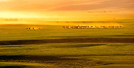 日本护士献身取精子全部：护士的捐赠举动引燃伦理与生育探讨