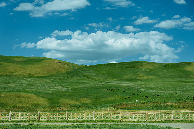 男同网站网盘资源：游戏新境界：男同网盘资源，探索性别界限下的独特魅力-3