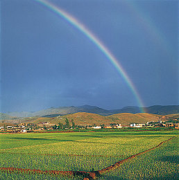 泡芙短视频记录幸福时光：记录快乐瞬间的短视频创作之旅-4