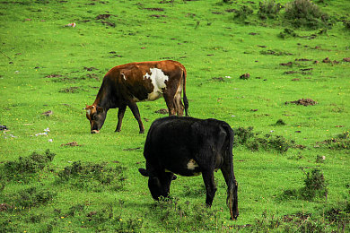 高跟鞋调教鞋交：探索高跟鞋魅力：调教与时尚交错，打造个性时尚之旅-2