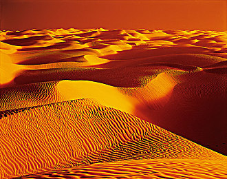 男女生打扑克的视频软件,扑克互动新体验，异性游戏乐趣多