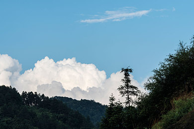 军人同志GAy1069：军人同志GAy1069：铁血柔情中的现代战争，深度体验战地荣耀-3