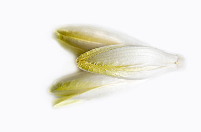 色情应用下载,网络毒瘤亟待根除，青少年护航行动势在必行