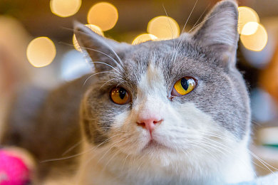 只有这里有精品：品味非凡，寻宝“精品独有地”-4