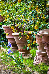 在线观看热码亚洲av每日更新,网络热码盛宴，每日更新刺激无限-3