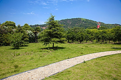 色情应用下载,网络毒瘤亟待根除，青少年护航行动势在必行-3