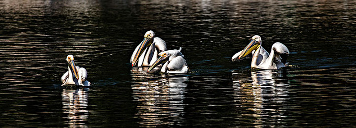 不知火舞被三个小孩操：欢乐互动，“不知火舞”引领童趣新体验-2