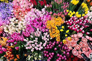 404,揭秘“绿巨人”迷局：网络福利陷阱背后的数字惊悚-2