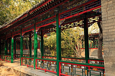 成网站python：Python网站开发新势力崛起：简洁语法与丰富库助力企业拓展业务-3