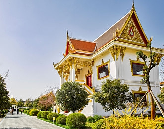 色情应用下载,网络毒瘤亟待根除，青少年护航行动势在必行-5