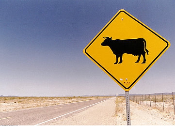 因涉黄被下架的软件：严打网络暗流：涉黄软件频被下架，教你如何安全使用软件-3