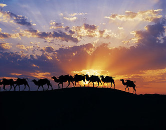 天下第一社区视频welcome,社区视频盛宴：“天下第一社区welcome”活动展示邻里情谊，共筑和谐家园-4