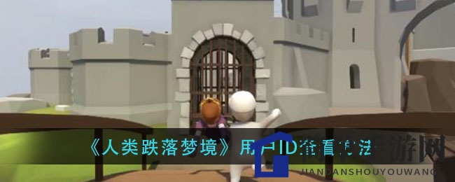 《人类跌落梦境》玩家福音：轻松解锁用户ID获取攻略，兑换皮肤不再愁