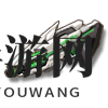 《双生视界》神秘武器库解析：自动步枪“十方萤火”深度剖析，揭秘性能特点与获取途径