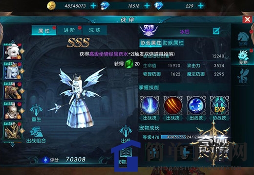 《奇迹：最强者》猎魔人宠物搭配