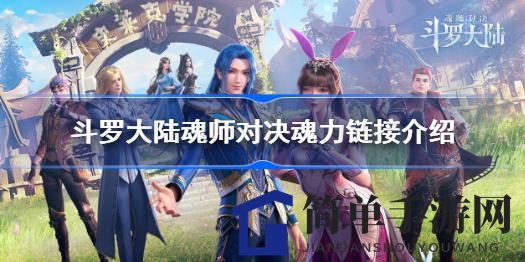 探索斗罗大陆魂师对决：揭秘魂力链接等级共享奥秘
