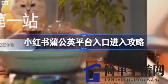 小红书蒲公英：揭秘种草乐园的神秘入口攻略